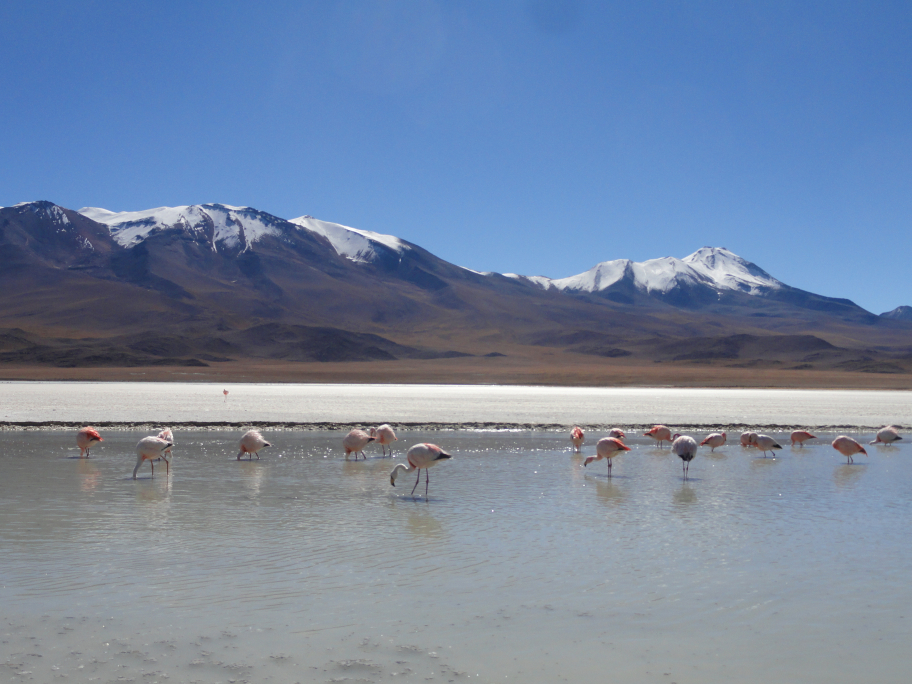 Uyuni Bolivia Salt Flats